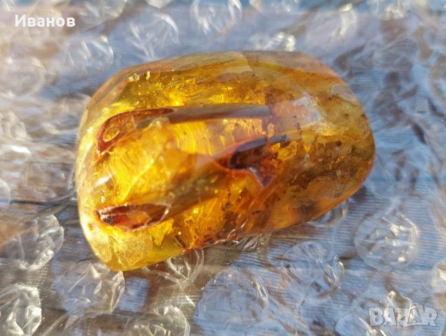 Балтийски кехлибар с отлично съхранени фосили , снимка 8 - Други - 33665443