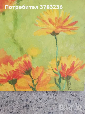 картини с маслени бои, снимка 2 - Картини - 50898837