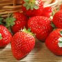 100 гигантски ягодови семена от плод ягода ягоди органични плодови ягодови семена от вкусни ягоди от, снимка 8