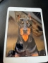 Ipad Mini , снимка 5