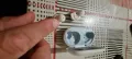 samsung galaxy buds by akg, снимка 10