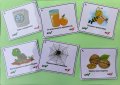 Монтесори Карти за игра , снимка 1 - Образователни игри - 43099982