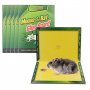 Капан за мишки и плъхове - ТОП цени, снимка 1 - Други стоки за дома - 27747592