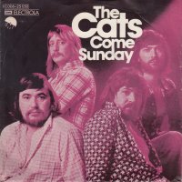 Грамофонни плочи The Cats – Come Sunday 7" сингъл, снимка 1 - Грамофонни плочи - 43856442