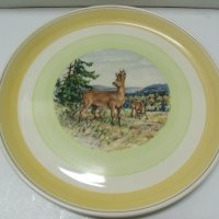 № 6900 стара порцеланова чиния   - диаметър 25,5 см , снимка 2 - Други ценни предмети - 40062011