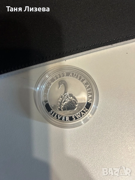 Лебед , снимка 1