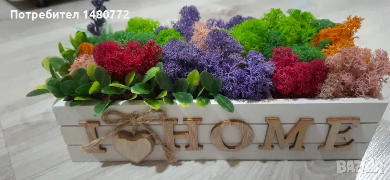 Цветна градинка със скандинавски мъх , снимка 1