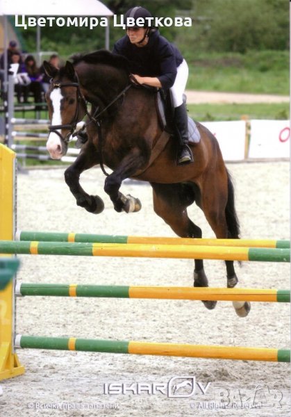 ЕЗДА,КОНЕН СПОРТ в гр.София❤️, снимка 1