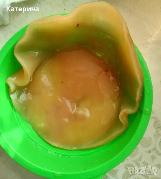 Кафе комбуча гъба SCOBY - 3-4 гъби, снимка 1