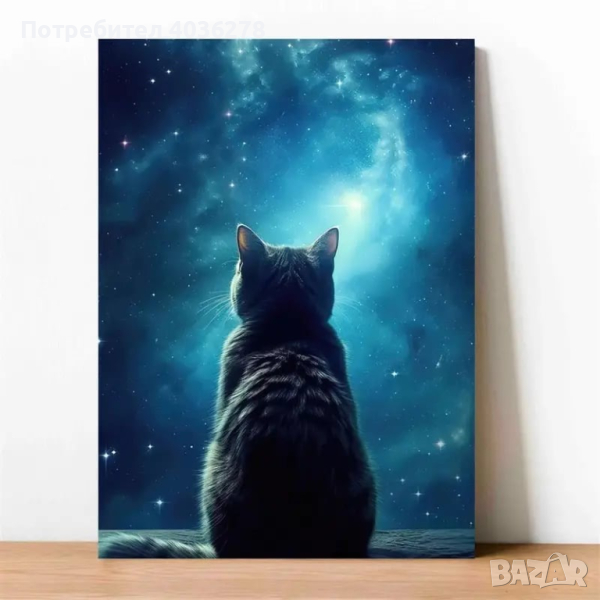 Картина/Постер за стена котка, снимка 1