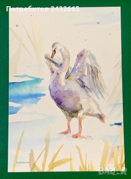 1882к. Нидерландия 2023 = “ Фауна. Птици. Резерват “ Marker Wadden “, снимка 1