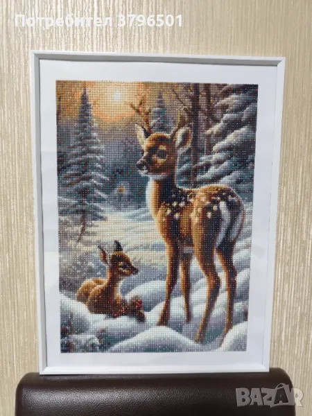 Диамантени гоблени , снимка 1