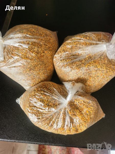 Пчелен прашец от Еленския балкан. , снимка 1