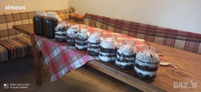 СИРОП от черен БЪЗ бутилка 0,500мл- 10лева, снимка 1