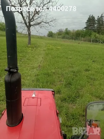 косене на тревни площи , снимка 3 - Градински цветя и растения - 50064535