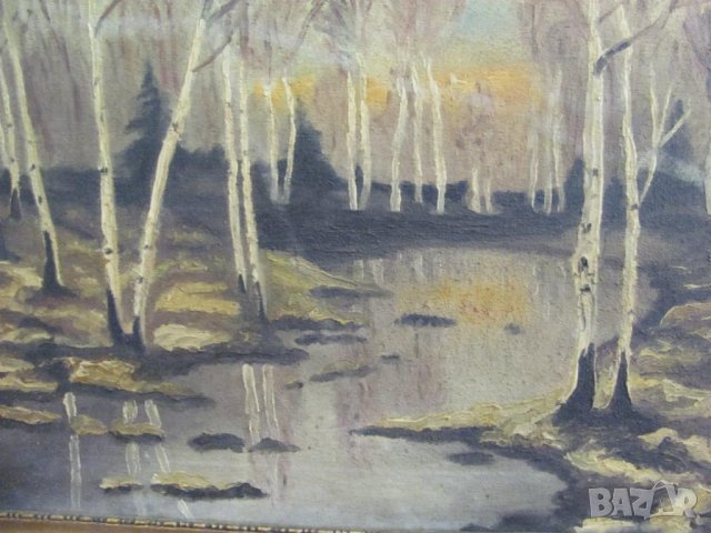 Много Стара Картина Масло Платно Подписана 60х40см., снимка 2 - Картини - 43164881