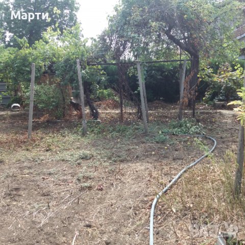 Дворно място под наем, снимка 4 - Други - 37745217
