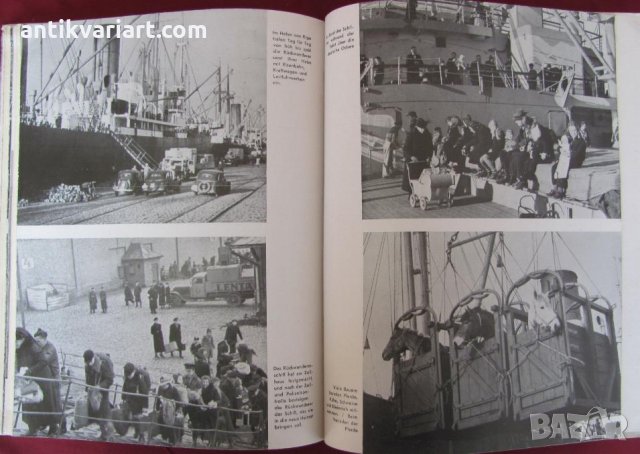 1939г. Книга- Балканите VOLK UND REICH рядка, снимка 6 - Други - 27355798