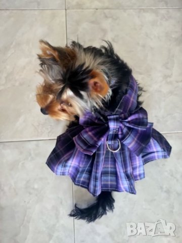 Рокля за куче с повод. Нагръник за куче. Нагръдник с повод. Нагръдник за малко куче. Дрехи за кучета, снимка 8 - За кучета - 38383966
