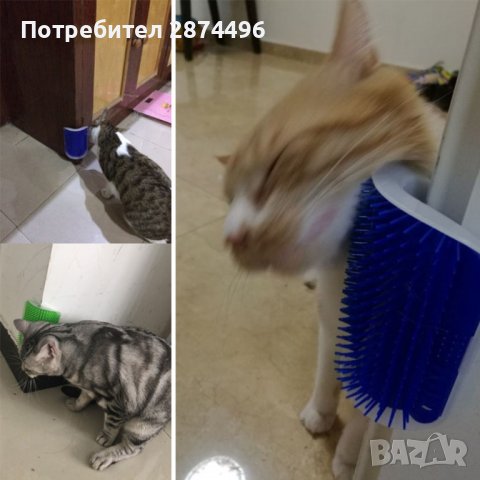 3831 Ъглово чесало за котки , снимка 3 - За котки - 39890966