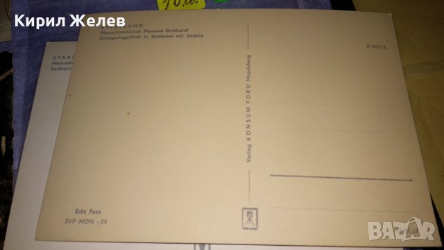 ЛОТ ЧЕТИРИ СТАРИ ПОЩЕНСКИ КАРТИЧКИ МОРСКА ФАУНА - НЕМСКИ КРАСИВИ 32459, снимка 7 - Филателия - 38652723