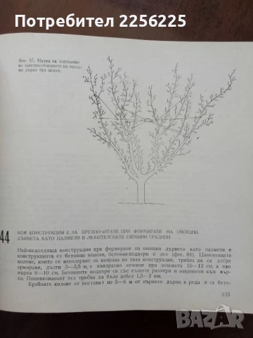 700 Съвета за любителя овощар, снимка 8 - Специализирана литература - 50914034