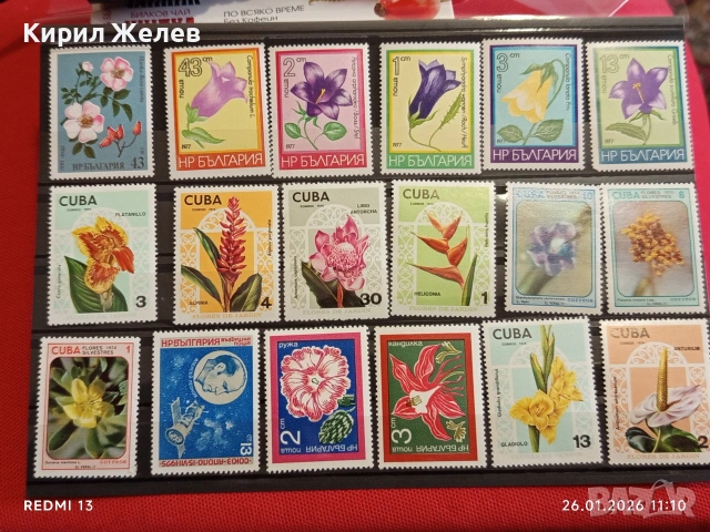 Стари пощенски марки от цял свят смесени ЦВЕТЯ без печат за КОЛЕКЦИЯ 52074, снимка 10 - Филателия - 53228641