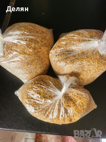 Пчелен прашец от Еленския балкан. 