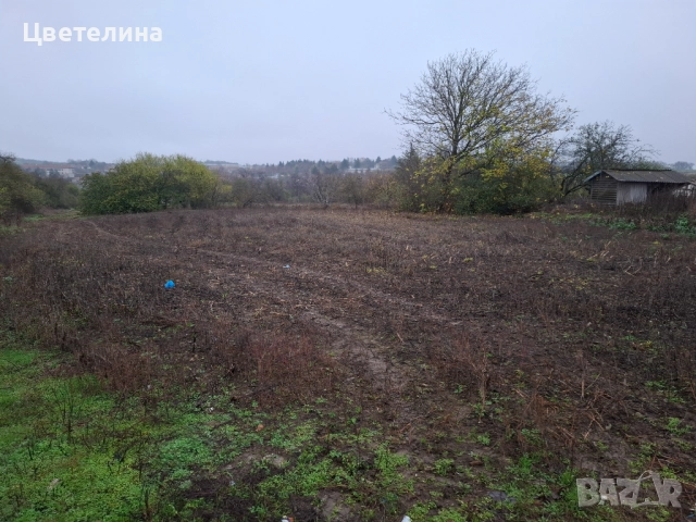 Дворно място Житница Добрич СПЕШНО, снимка 7 - Парцели - 52746056