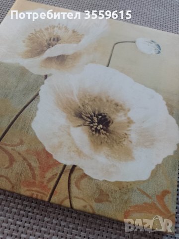 картина пано Бели цветя от Португалия, снимка 4 - Картини - 39134946