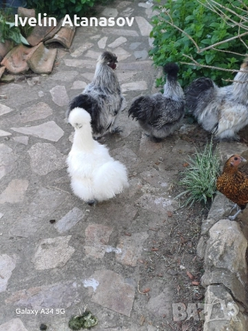 Двойка копринки., снимка 2 - други­ - 51798577