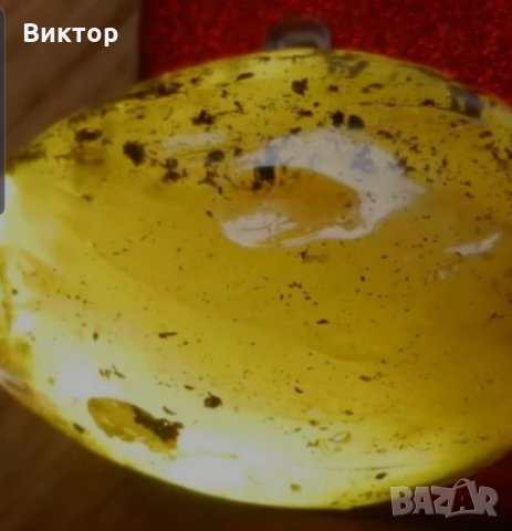 Старинно яйце от 100% натурален Балтийски кехлибар 1900 година. , снимка 8 - Антикварни и старинни предмети - 26961686