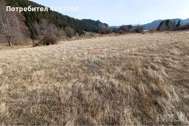 Поземлен имот в Езерово, снимка 14 - Парцели - 50132572