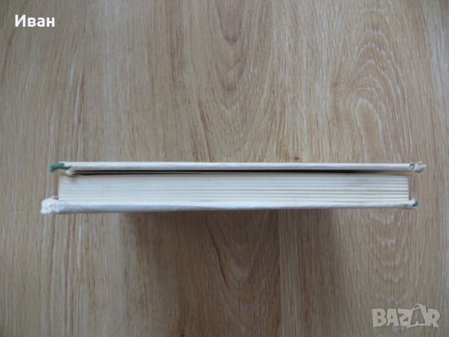 Желязната гора-Николай Хайтов, снимка 3 - Българска литература - 28930668