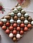 Яйца за люпене от     кокошки снасящи разноцветни яйца, снимка 1 - Кокошки и пуйки - 36572205