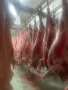 Продавам кланични агнета с тегло 14-20кг. , снимка 1