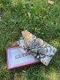 Луксозно портмоне  Guess код SG 565, снимка 2