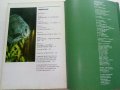 Мир аквариума - Г.Романишин,В.Мишин - 1986г., снимка 8