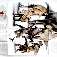 плакат на нешънъл джиографик National Geographic -динозаври, снимка 2 - Други - 40065925