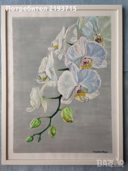 Бяла орхидея #бялаорхидея #цветя #красота #оригинал #акварелнакартина, снимка 1