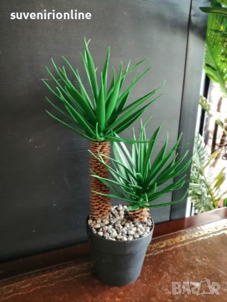 Изкуствена алое Вера в кашпа, снимка 1