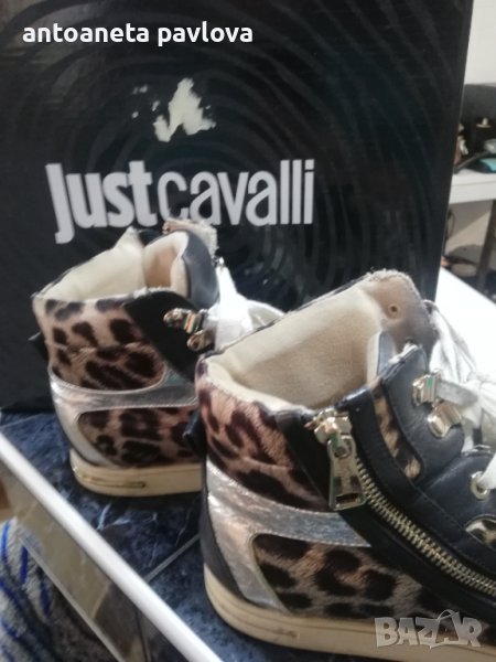 Кецове леопард на Кавали, снимка 1