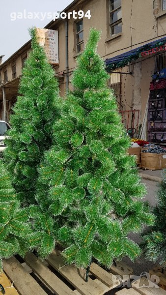 Коледни Елхи в различни размери от 9лв 12лв, 27лв Гъсти, кичести, реха, снимка 1