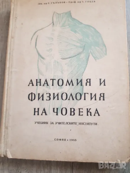 Книга"Анатомия на човека" Проф. Георги Гълъбов и проф.Гоцев 1955година, снимка 1