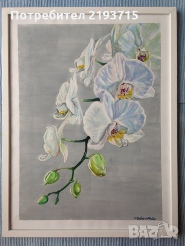 Бяла орхидея #бялаорхидея #цветя #красота #оригинал #акварелнакартина, снимка 1 - Картини - 27853475