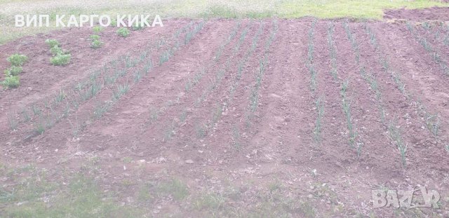 Продава се едноетажна масивна къща, снимка 10 - Къщи - 32613109