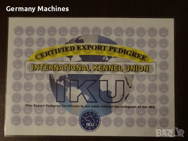 продавам РОДОСЛОВИЕ, Медали, Купи за различни породи кучета.. Вече не развъждам кучета и родословият, снимка 2 - Други - 48669126