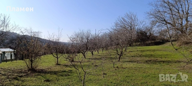 Парцел - с.Калипетрово, снимка 3 - Парцели - 53505180