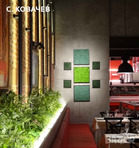 Уникални, модерни,свежи живи картини от естествен мъх.Градина в дома, снимка 14 - Декорация за дома - 19336040