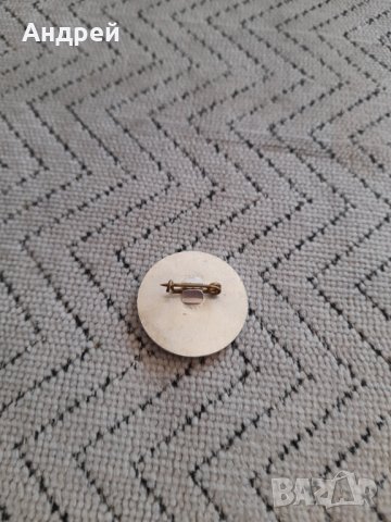 Стара значка БЛРС,Многобой Диана, снимка 3 - Колекции - 43897788